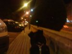 DSC00275.jpg