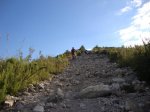 DSC00656.jpg