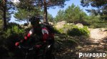 pimporro.JPG