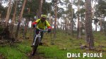 dale pedale.JPG