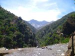 Foto vereda estrellla12.JPG