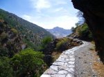 Foto vereda estrellla13.JPG
