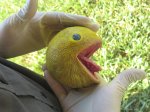 tumblr_l9h4vlknv51qz5t09o1_500.jpg