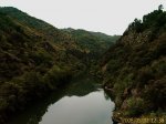 IMAG0011.jpg
