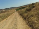 DSC01428.jpg
