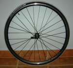 DSCN4164.jpg