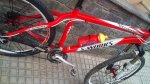 DSC00413.jpg