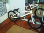 bmx felt.jpg
