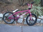 bmx wtp.jpg