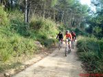 DSC05670.jpg