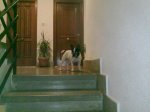26092010067.jpg