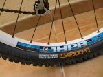 Maxxis 2.jpg