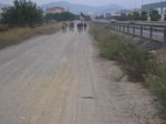 P1011490.jpg