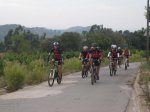 calamar10 002.jpg