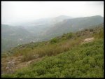 PICT0033.jpg
