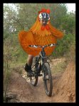 gallina.jpg