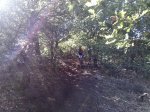 26092010227.jpg