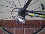 colnago daytona 004.jpg