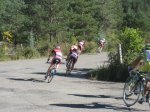 IMG_3465.jpg