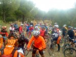 DSC00784.jpg