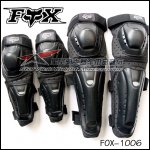 F0X-1006.jpg
