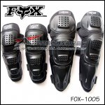 F0X-1005.jpg
