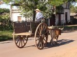 la-carreta-vacia.jpg
