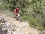 DSC00142.jpg