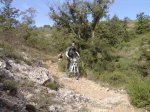 DSC00136.jpg