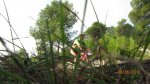 fotos_montserrat_2010_168.jpg