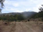 DSC09120.JPG