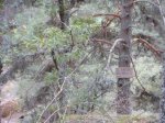 DSC09127.JPG