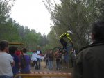 IMG_1337.jpg