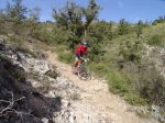DSC00186.jpg