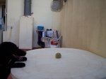 100_5682.jpg