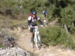 DSC00225.jpg