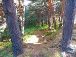 Foto18.JPG