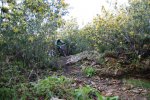 DSC_0079.jpg