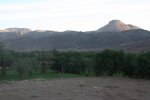 IMG_1112.jpg