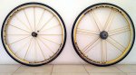 20101006_005.jpg