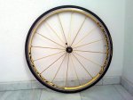 20101006_004.jpg