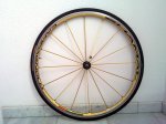20101006_003.jpg