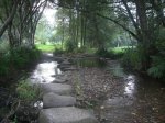 CIMG0019.jpg