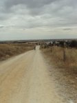 DSC01466.jpg