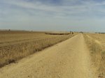 DSC01453.jpg