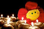 Velas-doradas-y-flor-de-peluche-27713.jpg