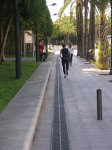 P1011559.jpg