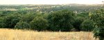 04-Panoramica.jpg