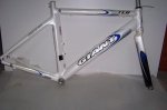 cuadro giant 001.jpg