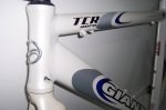 cuadro giant 004.jpg